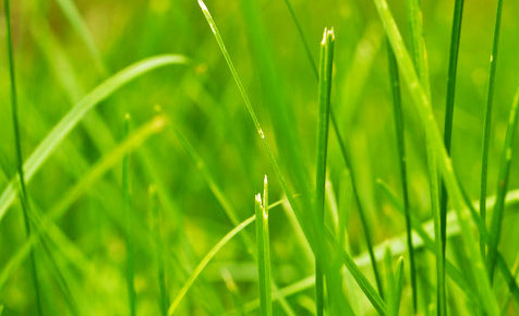 手机号压力测试器